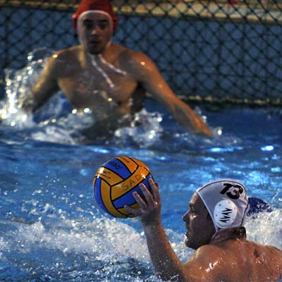 alges_polo