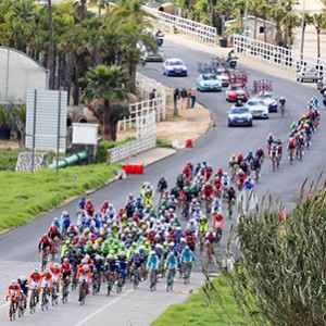 VOLTAALGARVE42