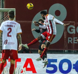 aves vs slb liga portugal 2024