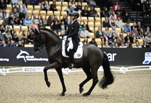 Equestre-Alemanha-11-06-2025