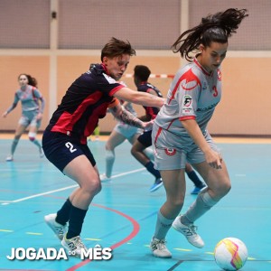 Varios_20251213_4259