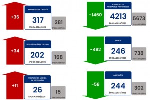 RAVID-Estatisticas--12-01-2026