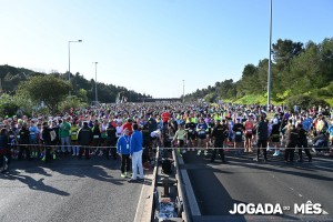 varios _20260308_1760