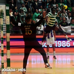 and_scp vs fcp_20260502_2419
