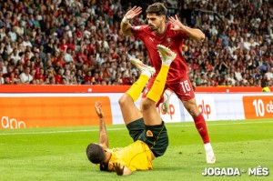 Portugal vs P.Gales (5)