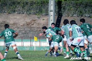 IMG_1495-15