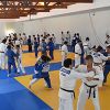 5ºEstágio Internacional de Judo de Verão da Costa da Caparica