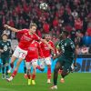 Benfica nos oitavos de final da Liga dos Campeões